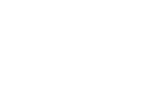Whizible Logo | Integrated Project Services Automation Tool